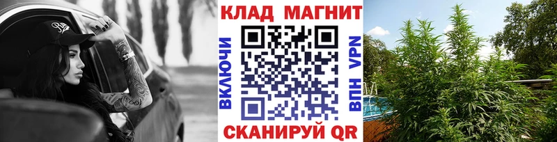 Цена Слободской Галлюциногенные грибы  A-PVP  АМФЕТАМИН  МЕФ  Каннабис  Кодеин  ГАШИШ  Кокаин 
