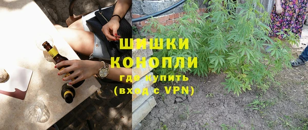 дурь Алексин