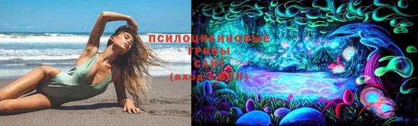 дурь Алексин
