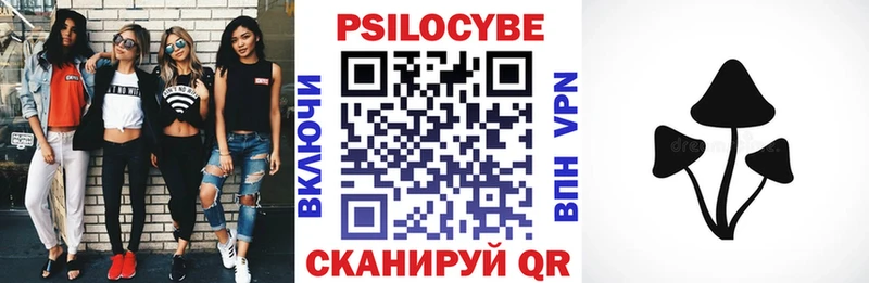 МЕГА tor Слободской Галлюциногенные грибы Psilocybine cubensis